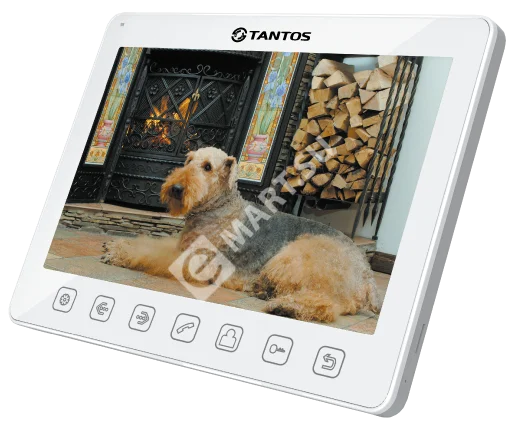 00-00037259_0000039776