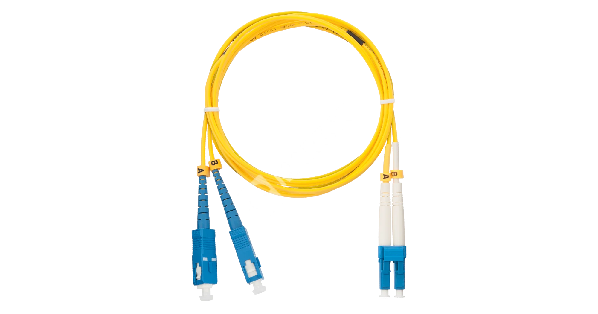 f1s8aou1skuuz1xevxzqd7yhc6rd25fn