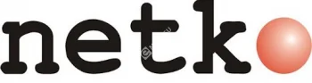 Netko Дверь для шкафа TS,T2 стеклянная 22U Ширина 600 серая 